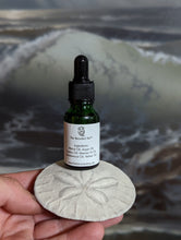 Load image into Gallery viewer, The Bearded Nut - Premium Beard Oil