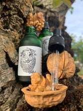 Load image into Gallery viewer, The Bearded Nut - Premium Beard Oil