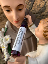 Load image into Gallery viewer, The Silky Lady - Premium Hair Serum